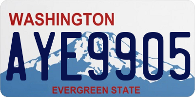 WA license plate AYE9905