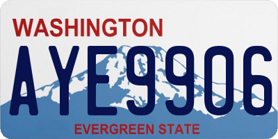 WA license plate AYE9906