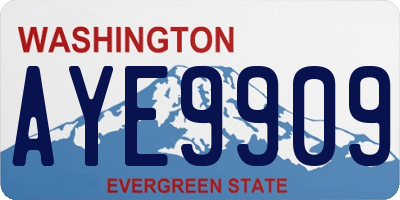WA license plate AYE9909