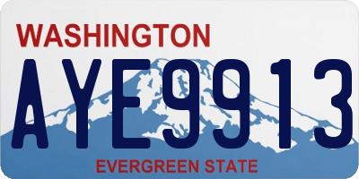 WA license plate AYE9913
