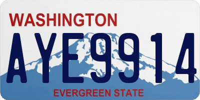 WA license plate AYE9914
