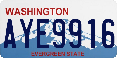 WA license plate AYE9916