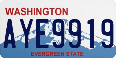 WA license plate AYE9919