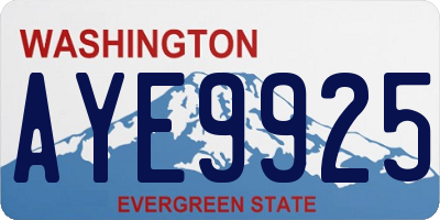 WA license plate AYE9925