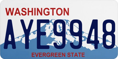 WA license plate AYE9948