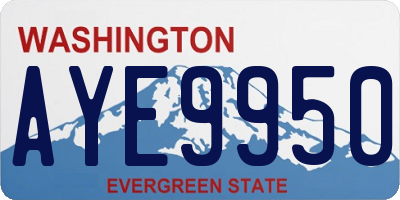 WA license plate AYE9950