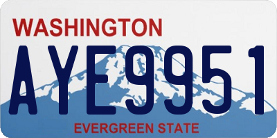 WA license plate AYE9951
