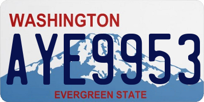 WA license plate AYE9953