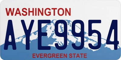 WA license plate AYE9954