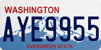 WA license plate AYE9955