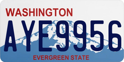 WA license plate AYE9956