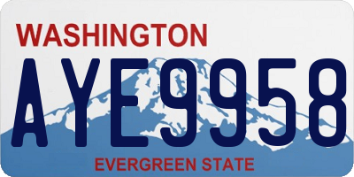WA license plate AYE9958