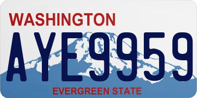 WA license plate AYE9959