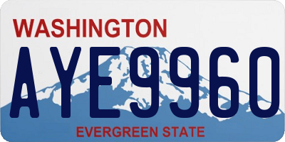 WA license plate AYE9960