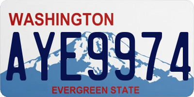 WA license plate AYE9974