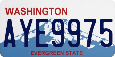 WA license plate AYE9975