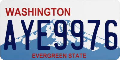 WA license plate AYE9976