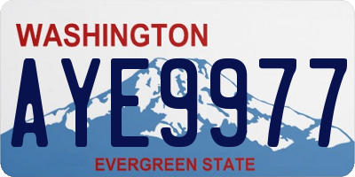 WA license plate AYE9977