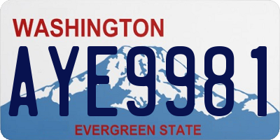 WA license plate AYE9981