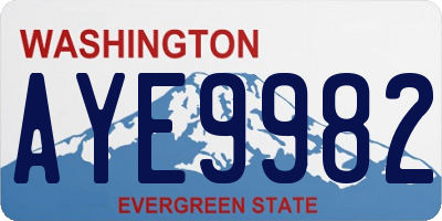 WA license plate AYE9982