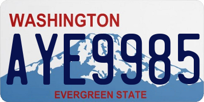 WA license plate AYE9985
