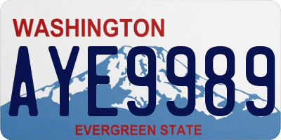 WA license plate AYE9989