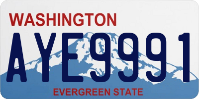 WA license plate AYE9991