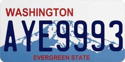 WA license plate AYE9993