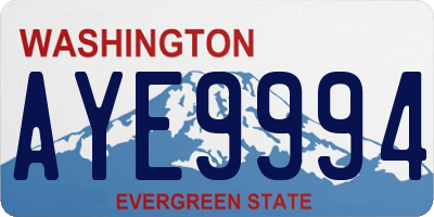 WA license plate AYE9994