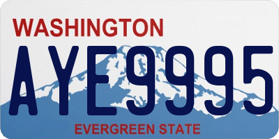 WA license plate AYE9995