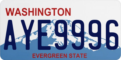 WA license plate AYE9996