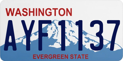 WA license plate AYF1137