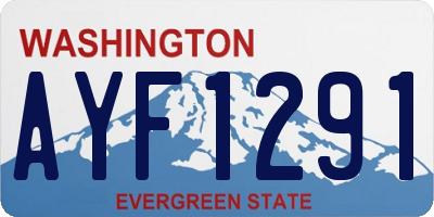 WA license plate AYF1291