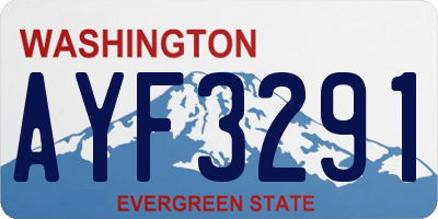 WA license plate AYF3291