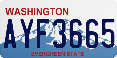 WA license plate AYF3665
