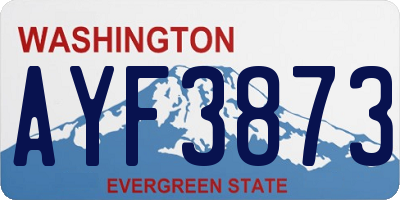 WA license plate AYF3873