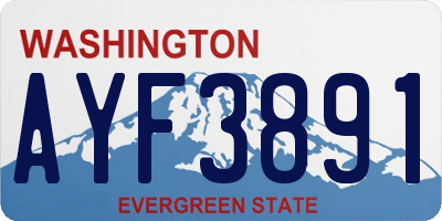 WA license plate AYF3891