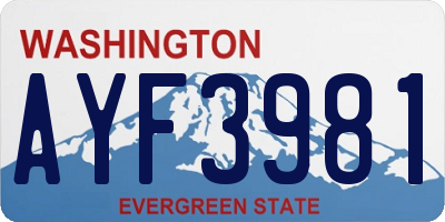 WA license plate AYF3981