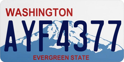 WA license plate AYF4377