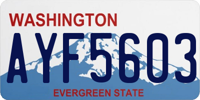 WA license plate AYF5603