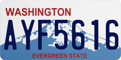 WA license plate AYF5616