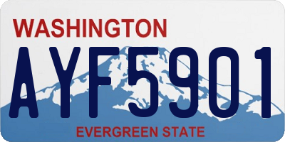 WA license plate AYF5901