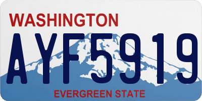 WA license plate AYF5919
