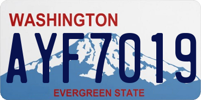 WA license plate AYF7019