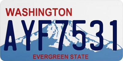 WA license plate AYF7531