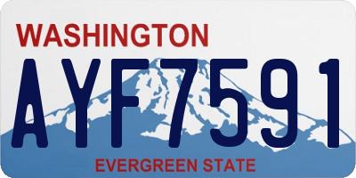 WA license plate AYF7591
