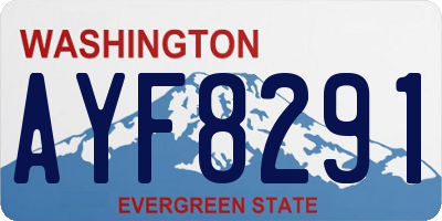 WA license plate AYF8291