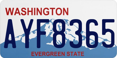 WA license plate AYF8365