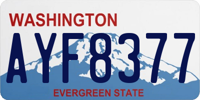 WA license plate AYF8377