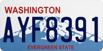 WA license plate AYF8391